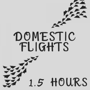 Arrive at the airport at least 1.5 hours before a Domestic flight